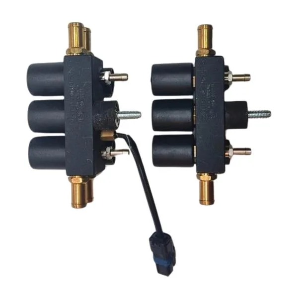 Bigas Rail 6C FAST Water LPG CNG Injector