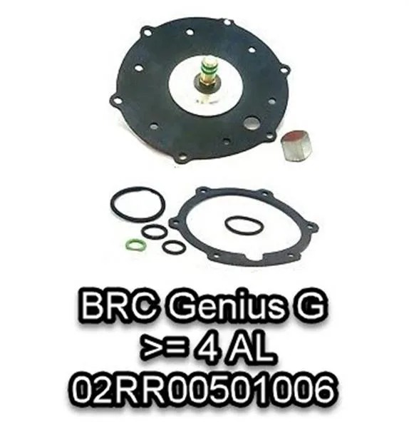 Revisieset BRC Genius 1500 Flying LPG