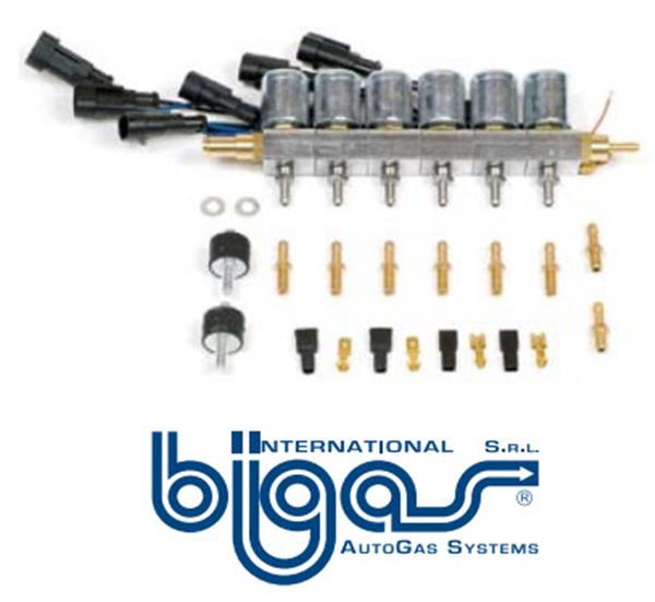 LPG-Injektoren Bigas 6 Zylinder in Reihe 2.5