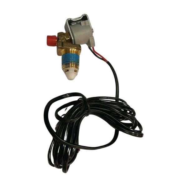 Electric valve for LPG tank 24V Rotarex