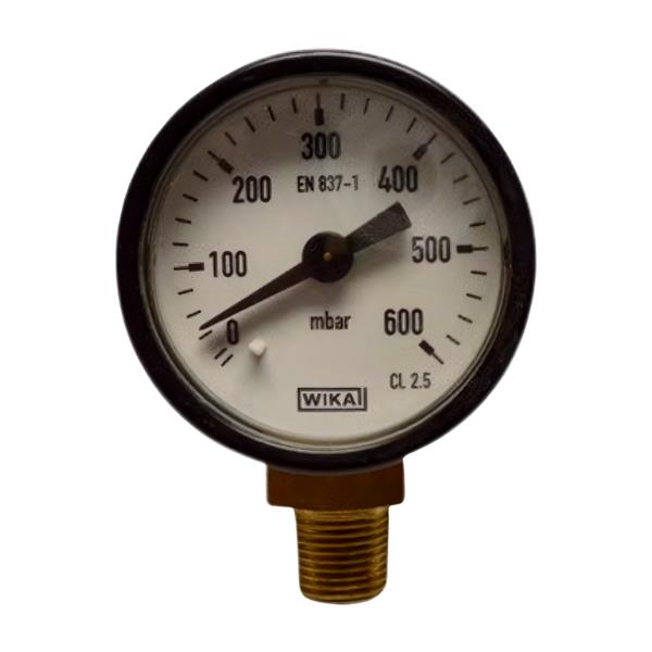 Pressure Gauge M10 - 0-600 mbar - Ø 40 mm