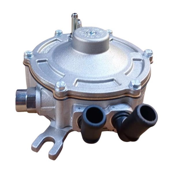 XRIC LPG Verdamper LI18 15deg 180 MAP EU6full 28