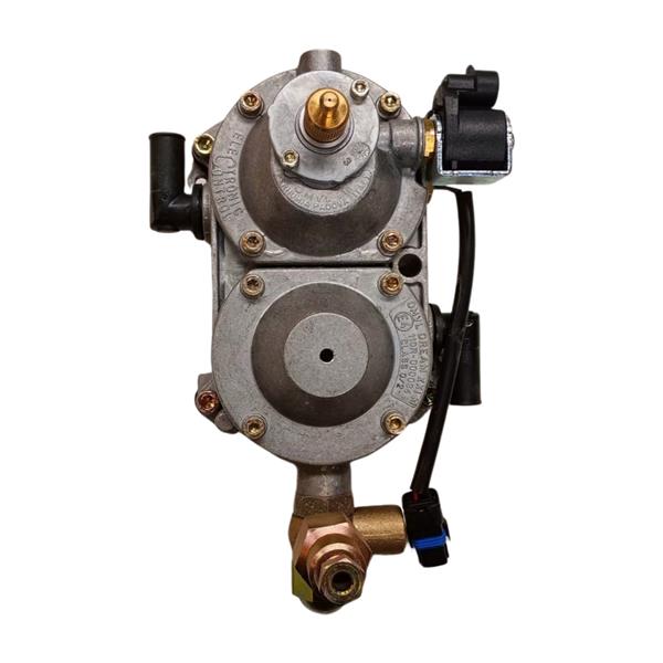 CNG-verdamper OMVL Dream XXI-N (01RM00504009)