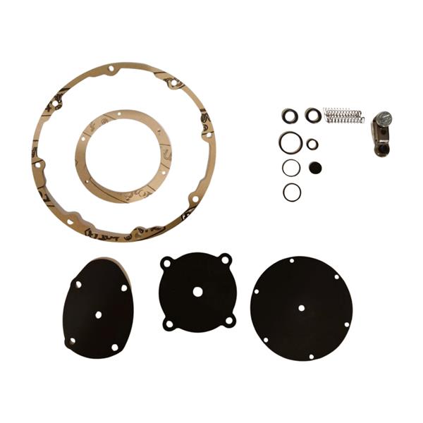 Repair kit Landi Renzo reducer Renzomatic - original