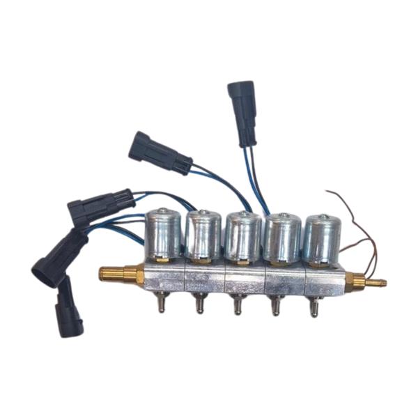 Bigas Rail 5C FAST 2.0 LPG CNG 5Zyl