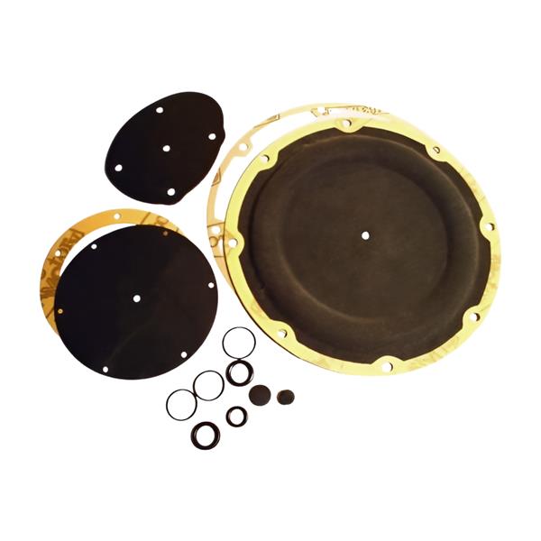 Repair Kit Landi Renzo Renzomatic