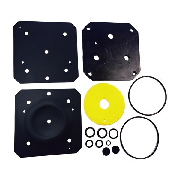 Repair Kit Landi Renzo LI01 IG1 LPG Reducer