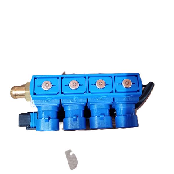 Rail OMVL Dream 4 cyl. (métal), avec sonde de température